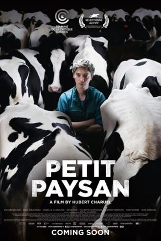 PETIT PAYSAN