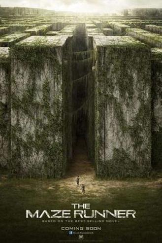 THE MAZE RUNNER