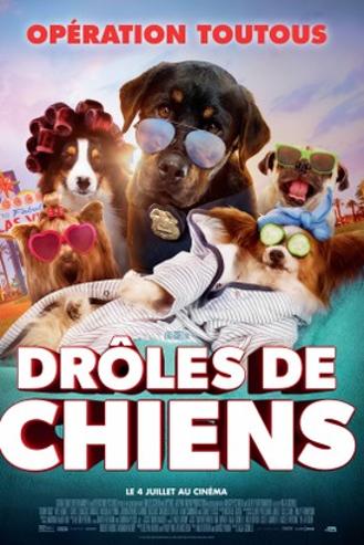 DROLES DE CHIENS