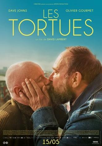 LES TORTUES