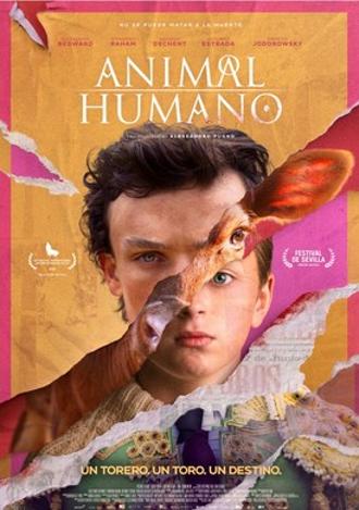 ANIMAL HUMANO - BRIFF 2024