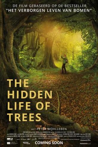THE HIDDEN LIFE OF TREES