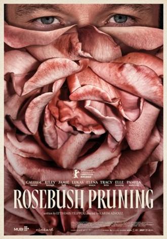 ROSEBUSH PRUNING