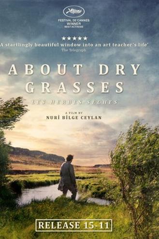 ABOUT DRY GRASSES