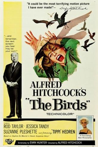 LES OISEAUX