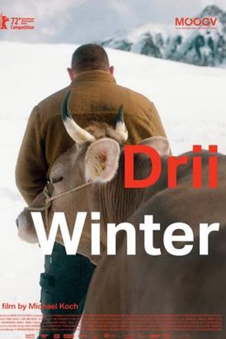 MOOOV - DRII WINTER