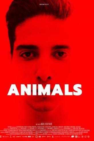 ANIMALS