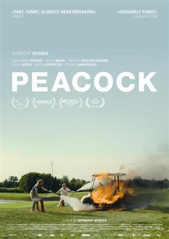 PEACOCK