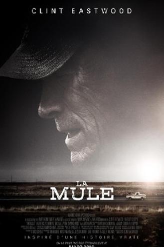 THE MULE