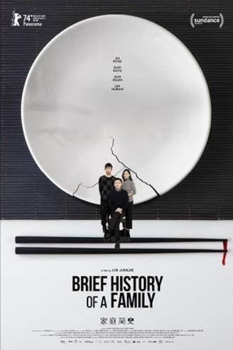 BRIEF HISTORY OF A FAMILY