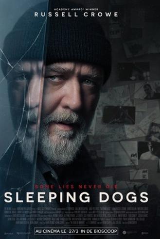 SLEEPING DOGS