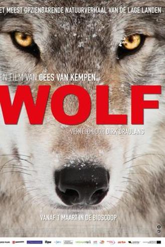 MOOOV - WOLF