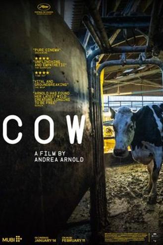 MOOOV - COW