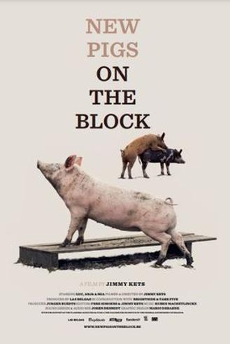 MOOOV - NEW PIGS ON THE BLOCK