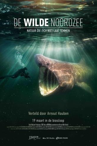 DE WILDE NOORDZEE