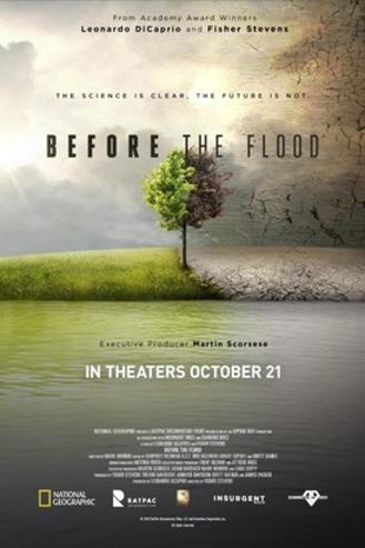 BEFORE THE FLOOD
