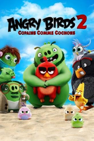 ANGRY BIRDS : COPAINS COMME COCHONS